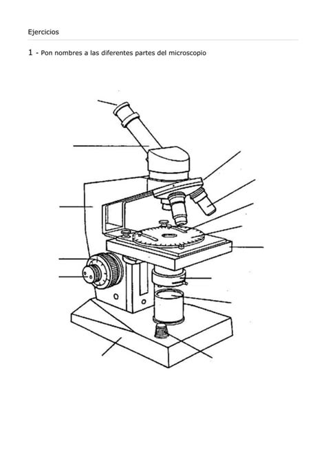 Lab Uso De Microscopio Muybuenoooo Docx