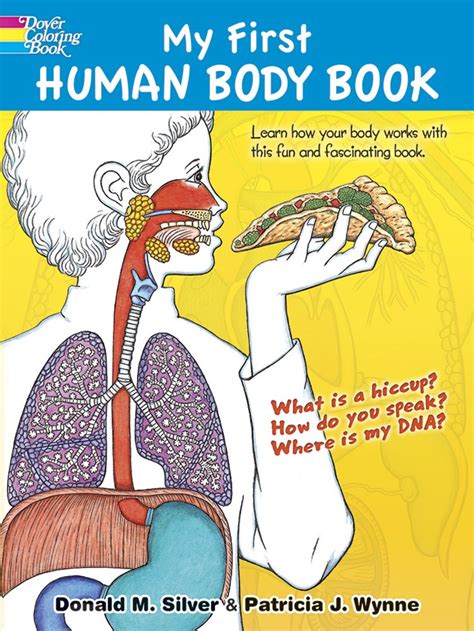 The Best Anatomy Books & Learning Aids for Kids - Natural Beach Living