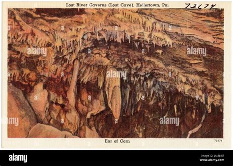 Lost River Caverns Lost Cave Hellertown Pa Ear Of Corn Caves