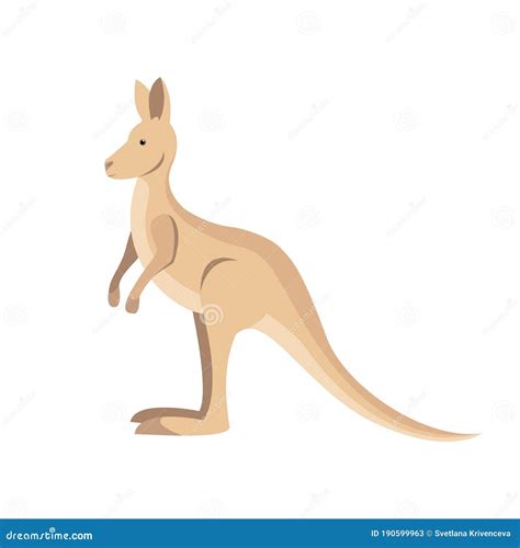 Kangaroo Australian Marsupial Animal Stock Vector Illustration Of