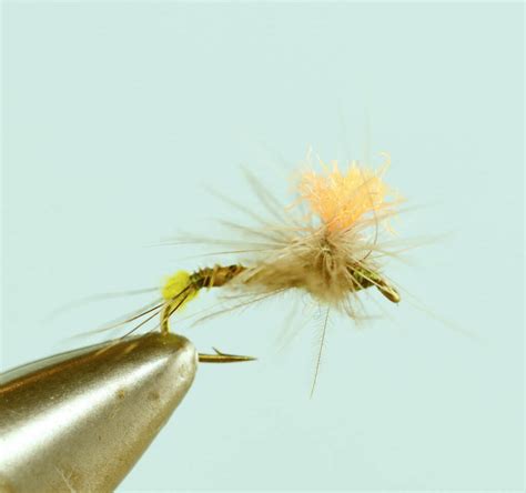 Top 6 Blue Winged Olive Fly Patterns The Missoulian Angler Fly Shop