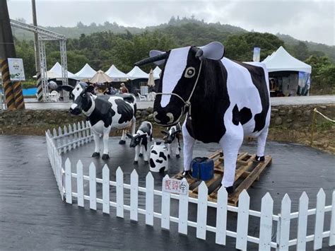 首屆桃園鮮奶節 大型牧草圈、小牛互動打卡拍不完 生活 中時