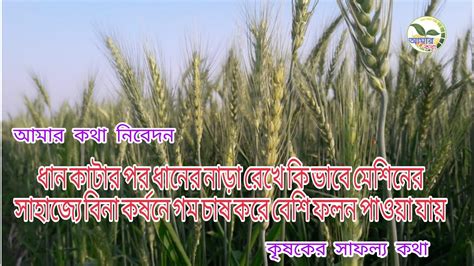 পরব ২ ক ভব বন করষন গম চষ মট সবসথয ZERO TILLAGE