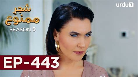 Shajar E Mamnu Episode 443 Turkish Drama Forbidden Fruit Urdu