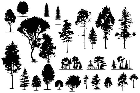 trees and forest silhouettes set isolated vector illustration 20920103 ...