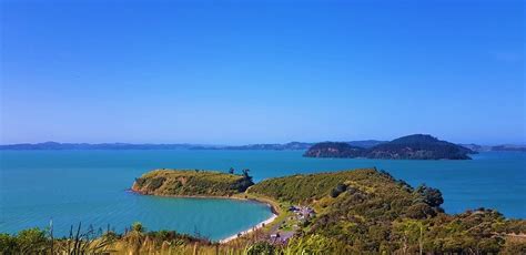 Best Of East Auckland Parks And Beaches — Estralians