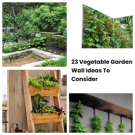 23 Vegetable Garden Wall Ideas To Consider Sharonsable