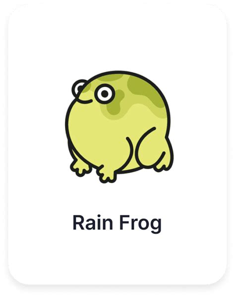 Rain Frog – is now a Vitrina Featured Company! - Vitrina