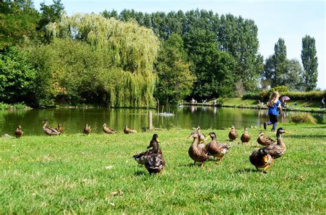 La pêche Mairie de Violaines