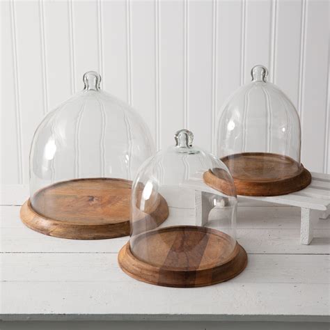 Small Glass Bell Shaped Cloche With Wood Base Ctw Home Collection