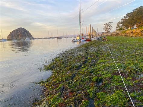 2023 Emb Northfacing 1 Morro Bay National Estuary Program