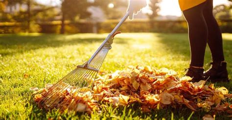 Fall's Best-Kept Secret: Backyard Compost Bin Setup Tips!