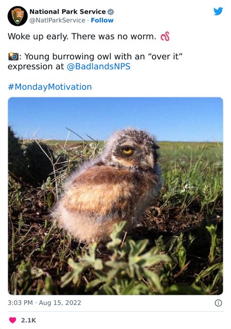 20 Hilarious Tweets From The Viral National Park Service Twitter