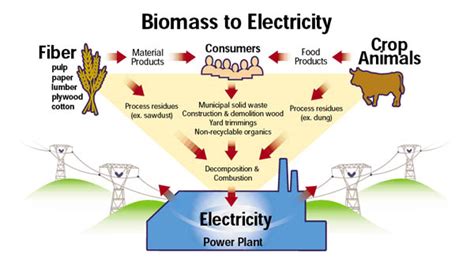 Biomass To Electricity Simcenter