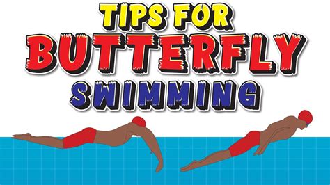 Learn How To Swim Butterfly Stroke With Perfect Technique Youtube