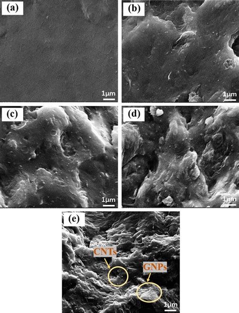 SEM Images Of The Cryo Fracture Surface Of Different PBAT Specimens A