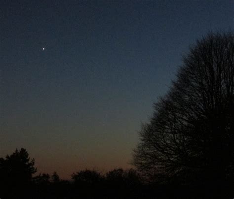 evening star baldock bard