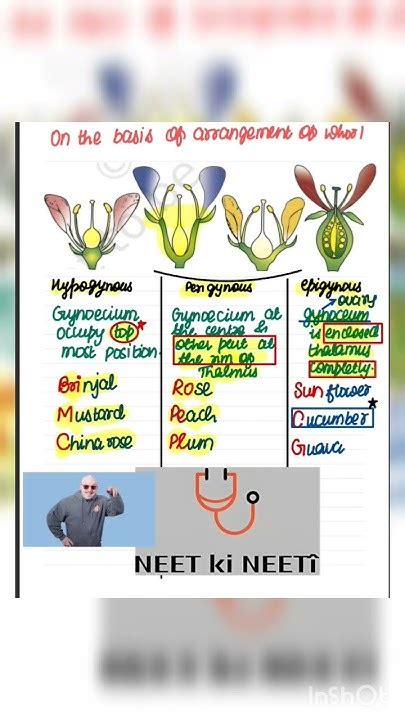 Best Tricks To Learn Families Examples In Morphology Of Flowering Plant