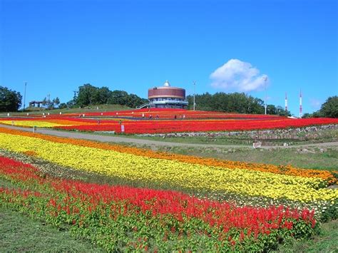 【道東の定番】網走～摩周湖～釧路を巡る3泊4日の観光モデルコース ウィラコレ！