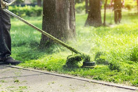 Przygotuj swój ogród na wiosnę kup niezawodną kosę spalinową Domy