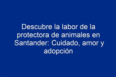 Descubre La Labor De La Protectora De Animales En Santander Cuidado