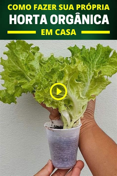 Quer Aprender Passo A Passo Como Plantar E Cultivar Uma Horta Org Nica