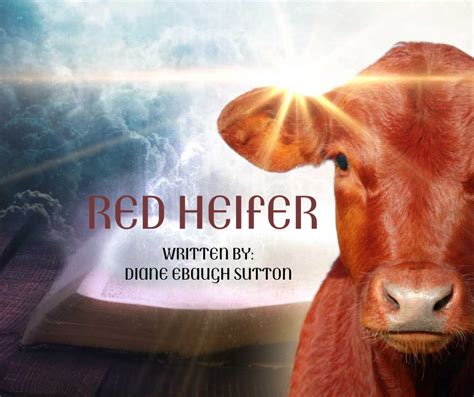 Red Heifer - David Ebaugh Bible School