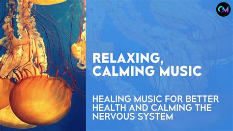 Beautiful Relaxing Music Healing Music For Health And Calming The