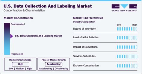 U S Data Collection And Labeling Market Industry Report 2030