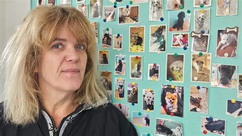 Hunde Friseur Salon In Emden Schlie T Pico Bello Steht Wegen Gewerbe