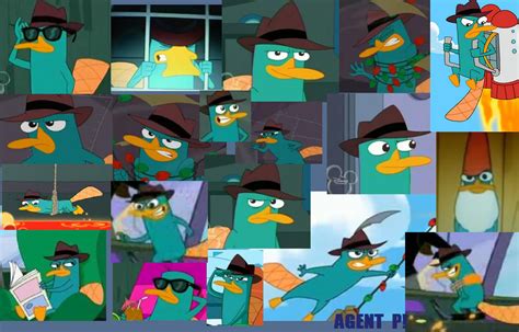 Perry The Platypus by JosefinaP on DeviantArt