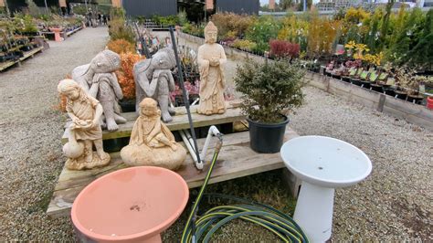 Diaco S Garden Nursery Geelong Whatsbest Australia