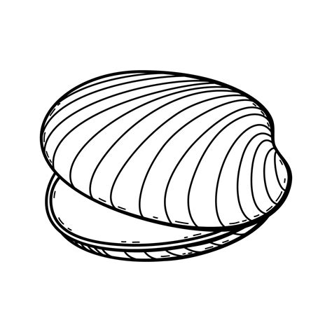 Vector outline of sea shell. Shellfish underwater. Hand drawn contour sketch of ocean animal ...