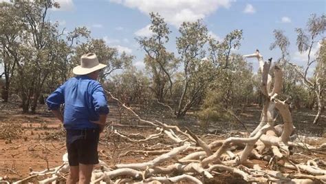 Monsoon Welcomed At Burnt Gipsy Plains Australian Country Life