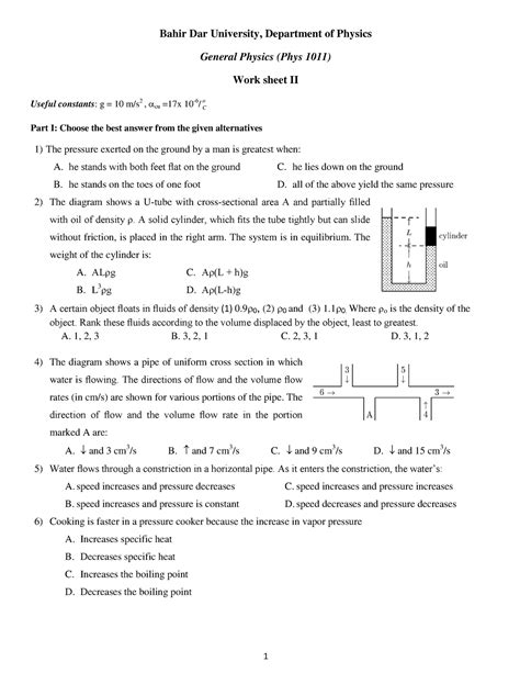 Phys Worksheet Ii And Assignment Ii E C Bahir Dar