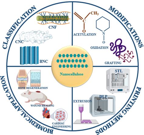 Figure 1 From A Review Of Properties Of Nanocellulose Its Synthesis