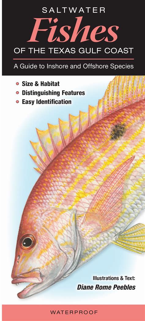 Gulf Of Mexico Fish Identification Chart - Unique Fish Photo