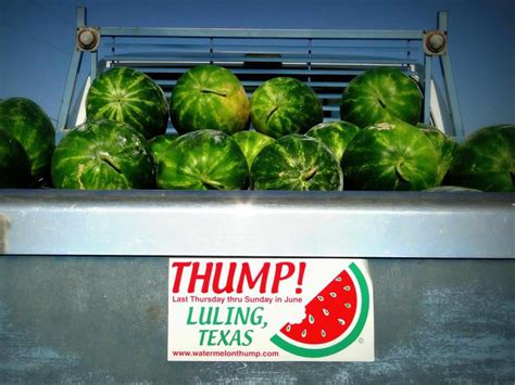 Watermelon Festival 2024 In Texas 2024 Ted Ingaborg