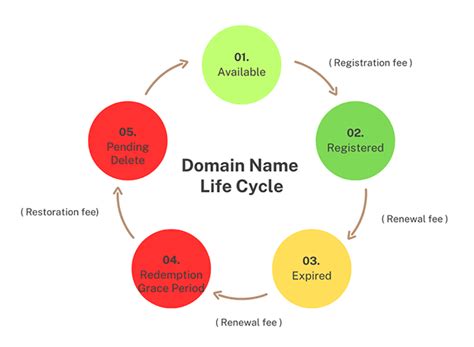 Mastering Domain Name Registration A Guide To Domain Life Cycle