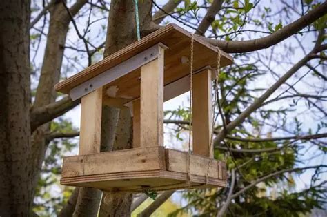 How do you make a bird feeder log? - Birdful