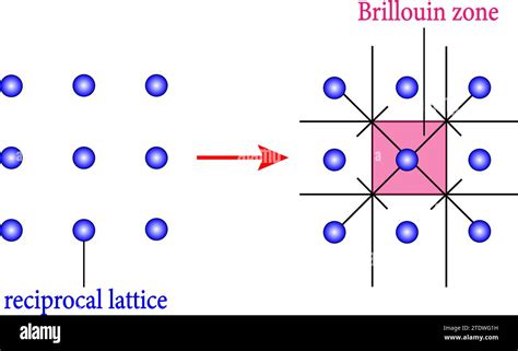 The Reciprocal Lattices And Corresponding First Brillouin Zones Of