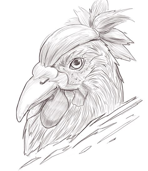 Hipster Chicken Rdrawing