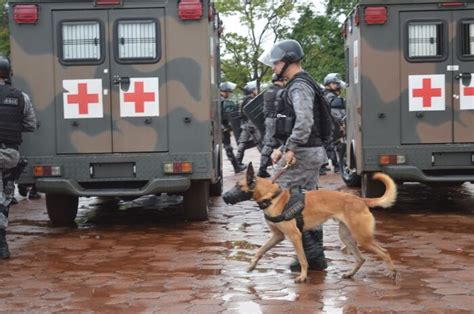 Megaopera O Do Ex Rcito Em Pres Dio Apreende Armas Brancas