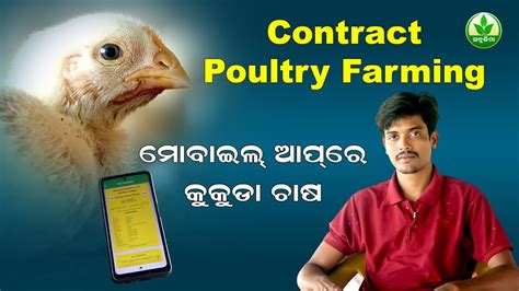 Contract Poultry Farming Ii Youtube