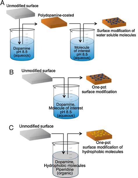 Schematics Of The Surface Functionalization By Pda Coating A The