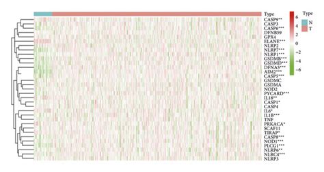 Differentially Expressed Pyroptosis Related Genes Between Hnscc And