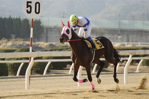 2008年1月6日（日） 福山競馬 9r にゃお吉の高知競馬応援写真日記＋α（高知の美味しいお店）