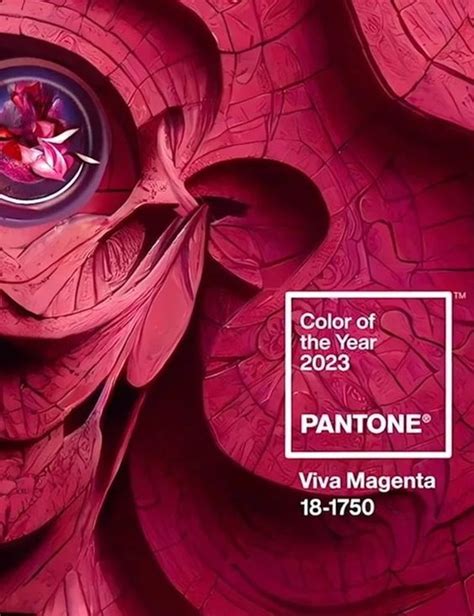 Inspiração Pantone revela a cor de 2023 Viva Magenta Design Inspired