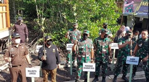 Pelihara Ekosistem Hutan Mangrove Pangdam Im Pelopori Program Tanam