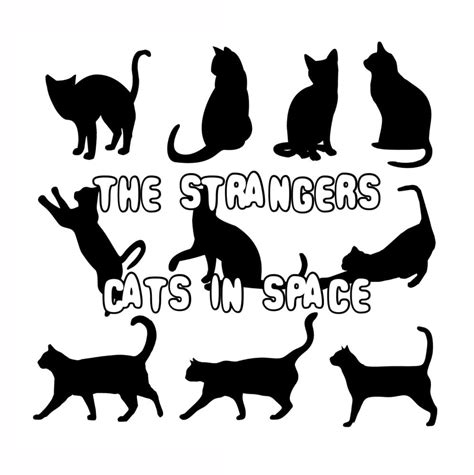 Cats In Space Jake Silverman Wiki Fandom